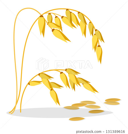 3D Isometric Flat Vector Set of Cereals , Grain Plants. Item 3 3D Isometric Flat Vector Set of Cereals , Grain Plants. Item 3 131389616