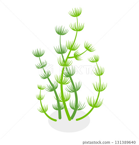 3D Isometric Flat Vector Set of Seaweeds, Marine Algae Collection. A set of various types of seaweed gathered from the ocean, perfect for showcasing the beauty of underwater flora.. Item 11 131389640