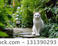 A white cat sits on a stone path among lush green plants. 131390293