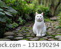A white cat sits patiently on a stone path surrounded by lush green plants. 131390294