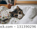 A cute cat rests warmly tucked into a soft white blanket. 131390296