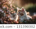 A cute cat rests near blooming flowers in soft golden light. 131390302