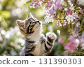 A small cat looks up at pretty pink flowers in nature. 131390303