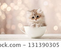 A cute cat sits in a white cup with soft bokeh lights. 131390305