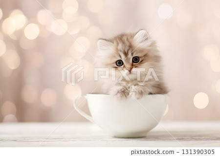 A cute cat sits in a white cup with soft bokeh lights. 131390305