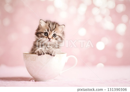 A cute cat sits inside a teacup. 131390306