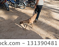 Cage with hens at Douz livestock market, Tunisia. Unrecognizable peopleck market, Tunisia 131390481