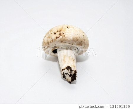 帶土的蘑菇 131391339