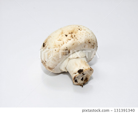 帶土的蘑菇 帶土的蘑菇 131391340