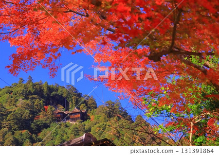 日吉大社、三宮神社、牛尾神社、八王子山(滋賀縣大津市) 日吉大社、三宮神社、牛尾神社、八王子山(滋賀縣大津市) 131391864