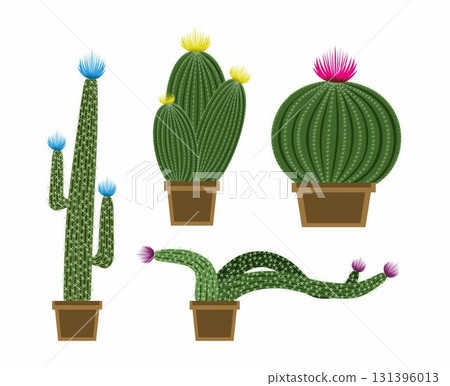 Set of beautiful cacti. Exotic prickly plants. Vases with cacti isolated on white background. Four cactus. Set of beautiful cacti. Exotic prickly plants. Vases with cacti isolated on white background. Four cactus. 131396013