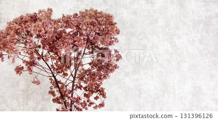 The template is Dried flowers on a gray background with space to copy. Flower card. Poster The template is Dried flowers on a gray background with space to copy. Flower card. Poster 131396126