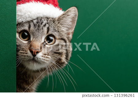 Tabby cat wearing Santa hat peeking from behind green wall 131396261