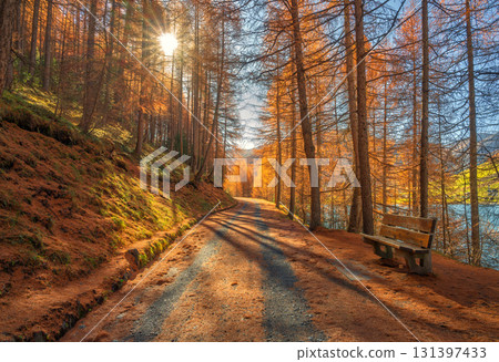 Mountain road in orange forest at sunset in golden autumn 131397433