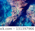 美麗的海底 131397966