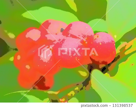 木蘭科布西果實的粗糙質地(afr20250924054426) 木蘭科布西果實的粗糙質地(afr20250924054426) 131398537