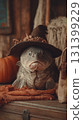 Fish wearing a witch hat for Halloween celebration 131399229