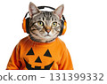 A playful cat dressed in a bright orange pumpkin sweater and large black headphones appears excited for Halloween festivities. Its curious expression adds to the holiday spirit. 131399332