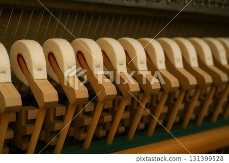 Piano Keys Closeup for Musical and Instrument Design 131399528