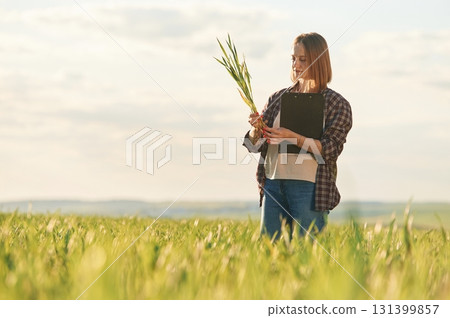 Scientist is checking the plant. Young woman is on the beautiful agricultural field at daytime Scientist is checking the plant. Young woman is on the beautiful agricultural field at daytime 131399857