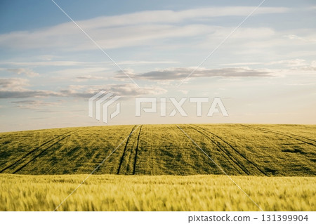 Amazing landscape of agricultural field. Rural non urban scene Amazing landscape of agricultural field. Rural non urban scene 131399904