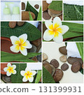 Collage of SPA compositions. Natural beauty and treatment concept. 131399931