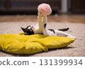 Adorable kitten playing pink fluffy ball at home. Young cat portrait 131399934