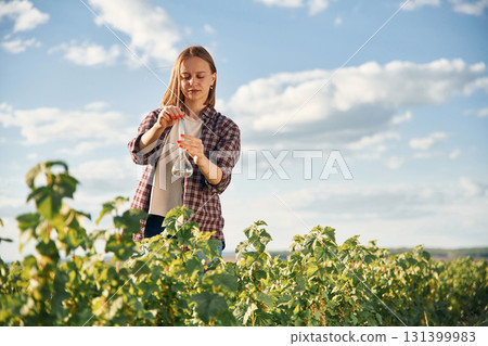 Test tube in hands, scientific research. Young woman is on the beautiful agricultural field at daytime Test tube in hands, scientific research. Young woman is on the beautiful agricultural field at daytime 131399983