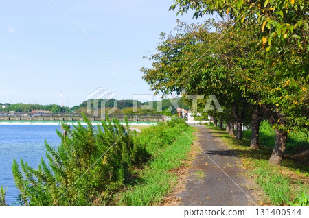 Around Yachiyo Roadside Station, Yachiyo City, Chiba Prefecture September 2025 131400544