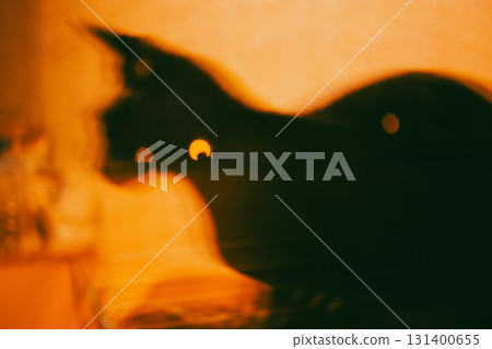 A mysterious black cat silhouette is captured in soft, warm light, with blurred bokeh. A silhouette of a cat against an orange background with bokeh The cat's shape is defined by the contrasting light A mysterious black cat silhouette is captured in soft, warm light, with blurred bokeh. A silhouette of a cat against an orange background with bokeh The cat's shape is defined by the contrasting light 131400655