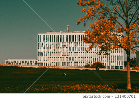 A modern building and a tree with autumnal foliage. An architectural landscape features a modern white building, complemented by a tree with autumn leaves, and a serene grassy foreground. Moody photo. 131400701