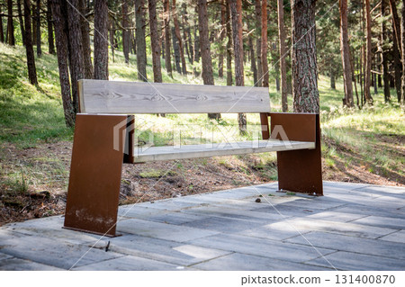 Modern Wooden Bench in Forest Park on Sunny Day 131400870