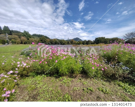 Nakanojo Gardens Spiral Field 131401473