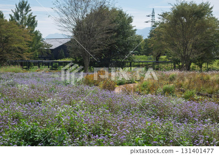 Nakanojo Gardens Spiral Field 131401477