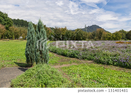 中之城庭園螺旋場 131401481