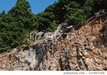 Cretan mountain landscape with exposed roots of old pine tree after landslide. Cretan mountain landscape with exposed roots of old pine tree after landslide. 131401509