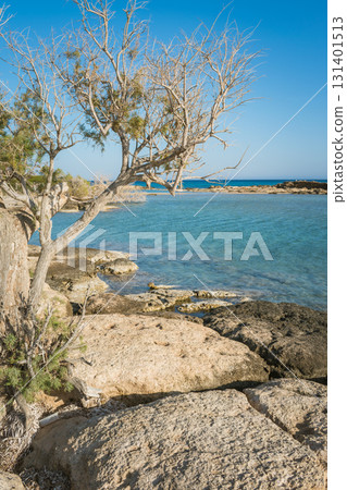 Scenic landscape of nature reserve at Elafonisi beach. Lonely tree, rocky beach and turquoise water Scenic landscape of nature reserve at Elafonisi beach. Lonely tree, rocky beach and turquoise water 131401513