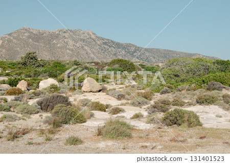 Mountainous Greek Landscape with Wild Herbs and Rocks - Natural Rural Scenery 131401523