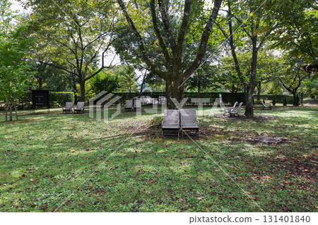 Nakanojo Gardens Relaxing Forest 131401840