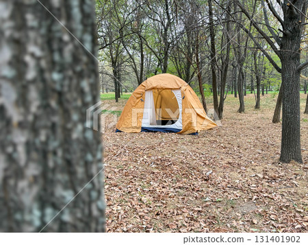 Camping Tent in Autumn Forest Camping Tent in Autumn Forest 131401902