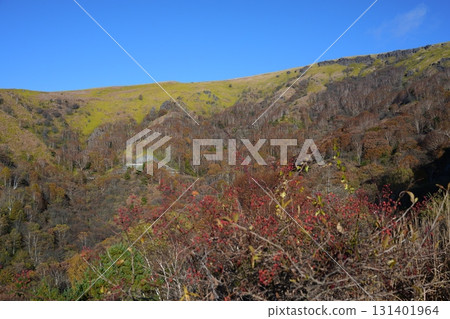 秋天的風景 秋天的風景 131401964