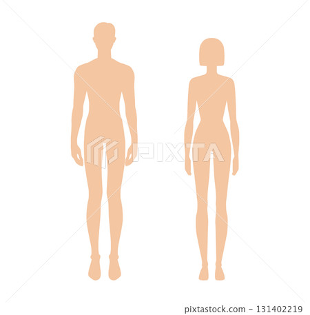 Male and Female body silhouettes Medium Beige skin color diversity shades front view vector set. Inclusive beauty Male and Female body silhouettes Medium Beige skin color diversity shades front view vector set. Inclusive beauty 131402219