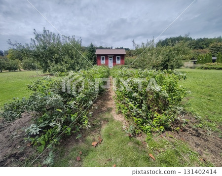 中之城花園農場區紅屋 131402414