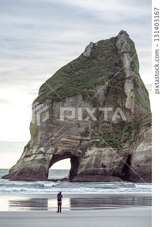 紐西蘭南島的自然風光/瓦拉里基海灘 紐西蘭南島的自然風光/瓦拉里基海灘 131403167