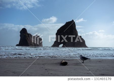 紐西蘭南島的自然風光/瓦拉里基海灘 紐西蘭南島的自然風光/瓦拉里基海灘 131403170