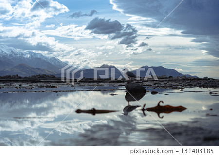 Nature of New Zealand's South Island / Kaikoura Nature of New Zealand's South Island / Kaikoura 131403185