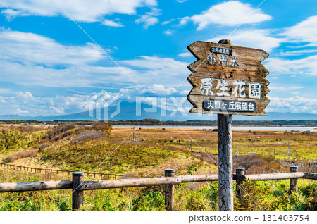 深秋的北海道小清水原始花園 - 從天嶺丘展望台眺望斜里山 131403754