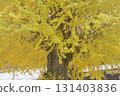 Udo Kannon 131403836