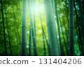 bamboo forest bathed in light 131404206