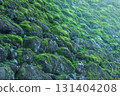 A stone wall with moss 131404208